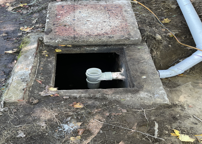 Septic distribution box installed for efficient drain field repair